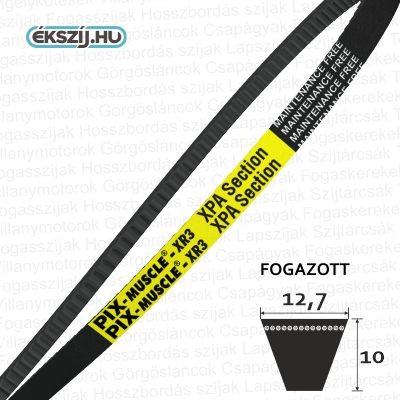 13x10 (XPA MUSCLE) erősített, fogazott keskeny profilú ékszíj XPA2160%MLG 1